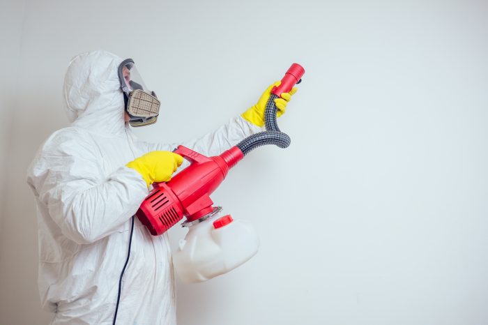 Come Funziona un Servizio di Disinfestazione Online? Guida e Consigli