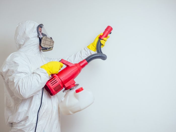 Come Funziona un Servizio di Disinfestazione Online? Guida e Consigli